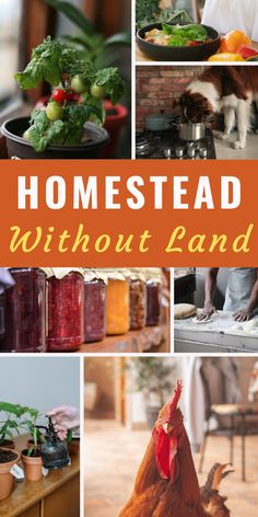 a collage of photos with the words homestead without land written in orange