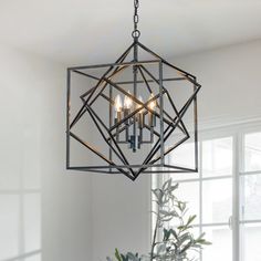 a chandelier hanging from the ceiling in a dining room with potted plants