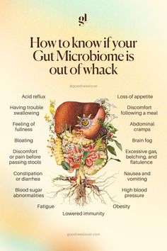 It's time to stop treating symptoms - and start healing the cause. Gut Health Diet, Gut Health Recipes, Lifestyle Quotes, Gut Microbiome, Health Knowledge, Natural Health Remedies, Healthy Gut, Health Info