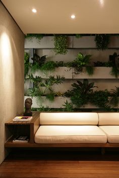 a white couch sitting in front of a wooden shelf filled with potted plants on it