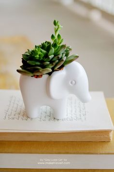 an elephant planter with succulents in it's trunk on top of a book