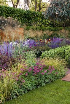 a garden filled with lots of different types of flowers