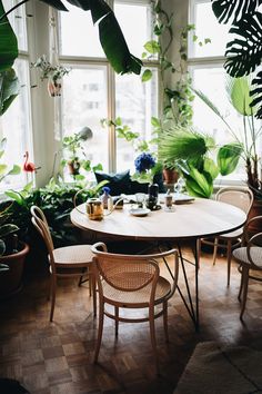 a dining room table surrounded by potted plants and greenery in front of a large window