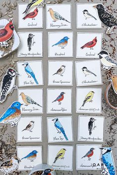 several birds are shown on different cards