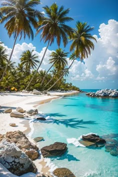 the beach is surrounded by palm trees and clear water, with rocks in the foreground