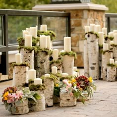 candles and flowers are arranged in birch trunks on the ground next to each other with moss growing on them