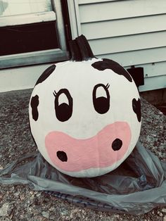 a cow head sitting on top of a plastic bag