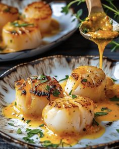 scallops with sauce being drizzled on them