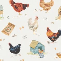 chickens and hens are depicted on a white background with blue, red, yellow or green eggs