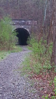 there is a tunnel in the middle of the woods that leads to a trail through it