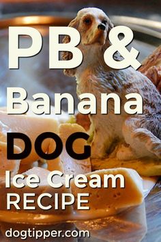 banana dog ice cream recipe on a plate with the words pb and banana dog