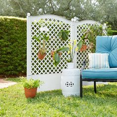 a blue chair sitting in the grass next to a white privacy wall with potted plants