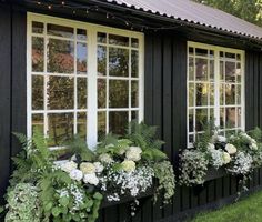 a black house with white flowers and greenery in the window boxes on the side