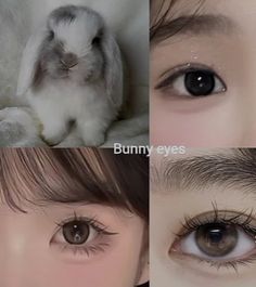 four different pictures of people with bunny eyes