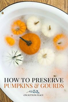 how to preserve pumpkins and gourds in a bathtub with the words, how to preserve pumpkins & gourds