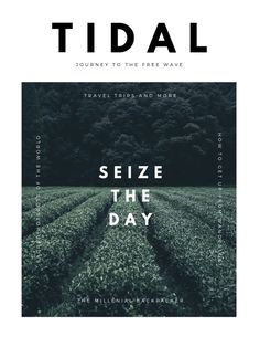 the cover of tidal magazine featuring an image of a field