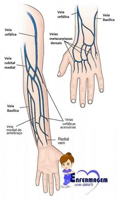 the arm and wrist are labeled in blue