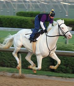 a man riding on the back of a white horse down a race track with grass and bushes behind him