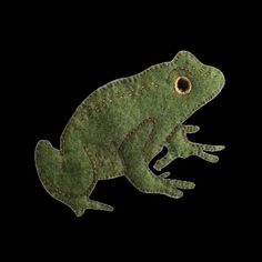 a green frog sitting on top of a black background