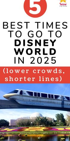 the top 5 best times to go to disney world in 2020 flower crowds, shorter lines