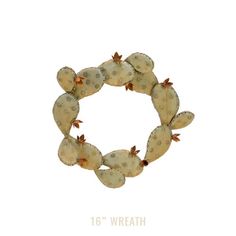 an image of a cactus wreath on a white background