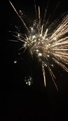 fireworks are lit up in the dark sky with no people around them to see it