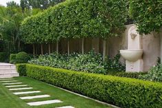 a long row of hedges in the middle of a lawn with steps leading up to it