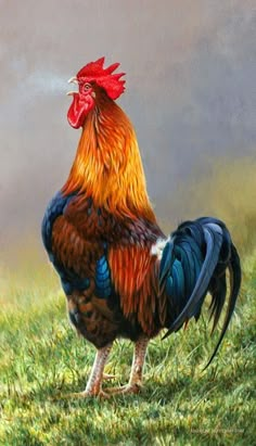 a painting of a rooster standing in the grass