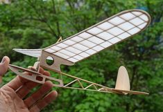 a hand holding a wooden model of an airplane