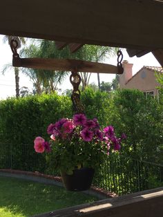 a potted plant with purple flowers hanging from it's side in front of a fence