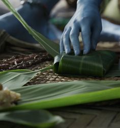 a person is cutting up some green leaves