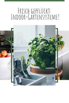 an advertisement for fresh gerfluck indoor - gartensystme with photos of vegetables and fruits