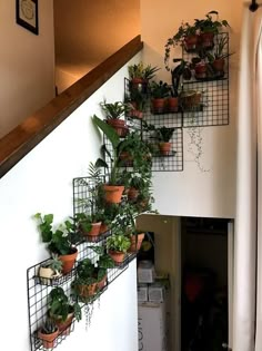 some plants are growing on the side of a stair case that is attached to a wall