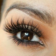 Eyelash Extensions Before And After, Eyelash Extensions Care, Dramatic Eyeliner, Longer Lashes, Eyeliner For Beginners, Eyelash Extensions Styles, Eyeliner Products, Simple Eyeliner, Applying Eye Makeup