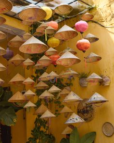 many hanging baskets and plants in front of a yellow wall with green leaves on it