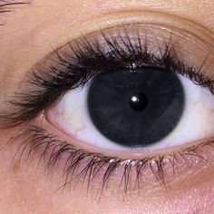 Dark Grey Eyes, Pretty Eyes Color, Blue Eye Color, Dark Blue Eyes, Gray Eyes, Dark Eyes, Hazel Eyes, Pretty Eyes