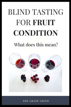 a book cover with three glasses of wine and berries on the bottom, which reads blind tasting for fruit condition what does this mean?