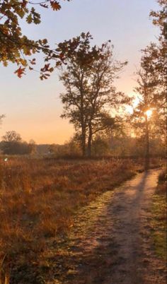 the sun is setting over an open field with trees in the foreground and grass on the ground