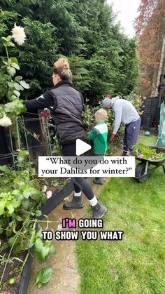 two people are gardening in the yard with flowers and plants on them, one is pushing a wheelbarrow