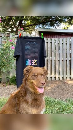 a brown dog sitting in the grass next to a t - shirt on a clothes line