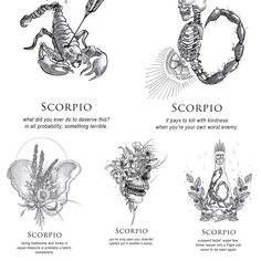 four different types of scorpion tattoo designs