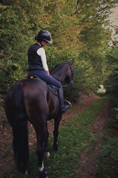 a woman riding on the back of a brown horse down a forest road next to trees