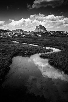 a black and white photo of a river in the middle of a field with mountains in the background