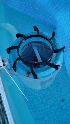 the inside of a swimming pool with an insect crawling on it