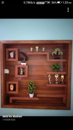 a wooden shelf filled with lots of different types of plants and trophy trophies on top of it