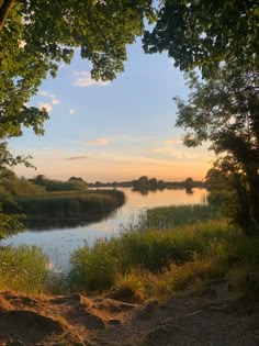 the sun is setting over a river with trees in the foreground and grass on the bank