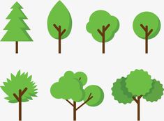 different types of trees are shown in this image