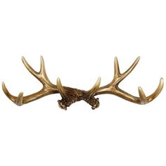 a deer's head with antlers hanging from the side on a white background