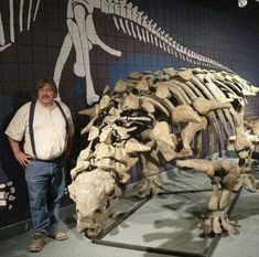 a man standing next to a dinosaur skeleton