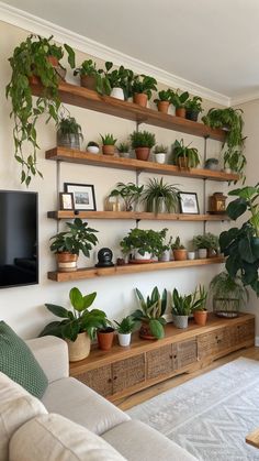 indoor gardening ideas Plant Decor Stairs, Plant Wall Dining Room Ideas, Plants And Shelves, Glass Shelf Ideas For Living Room, House Of Plants, Triangle Plant Shelf, Plant Shelf With Lights, Plant Corner Ideas Bedroom, Rooms With Lots Of Plants